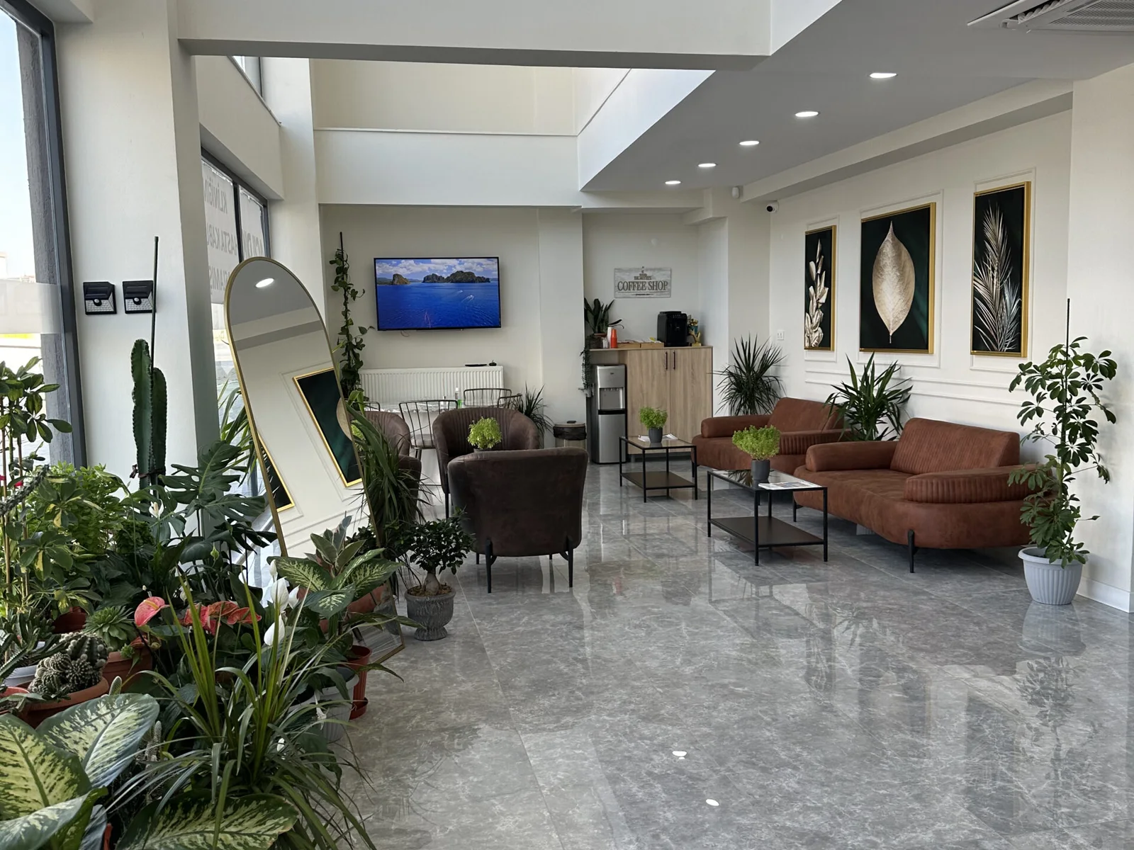 Motto Dental waiting area with indoor plants